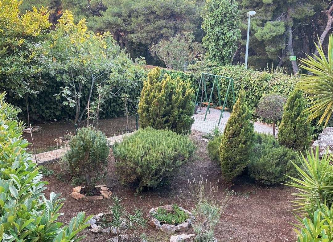 Detached Villa With Six Apartments, Island Brac, Supetar