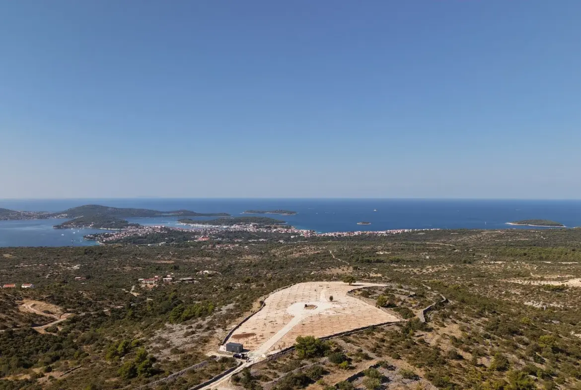 Olive grove with panoramic sea view