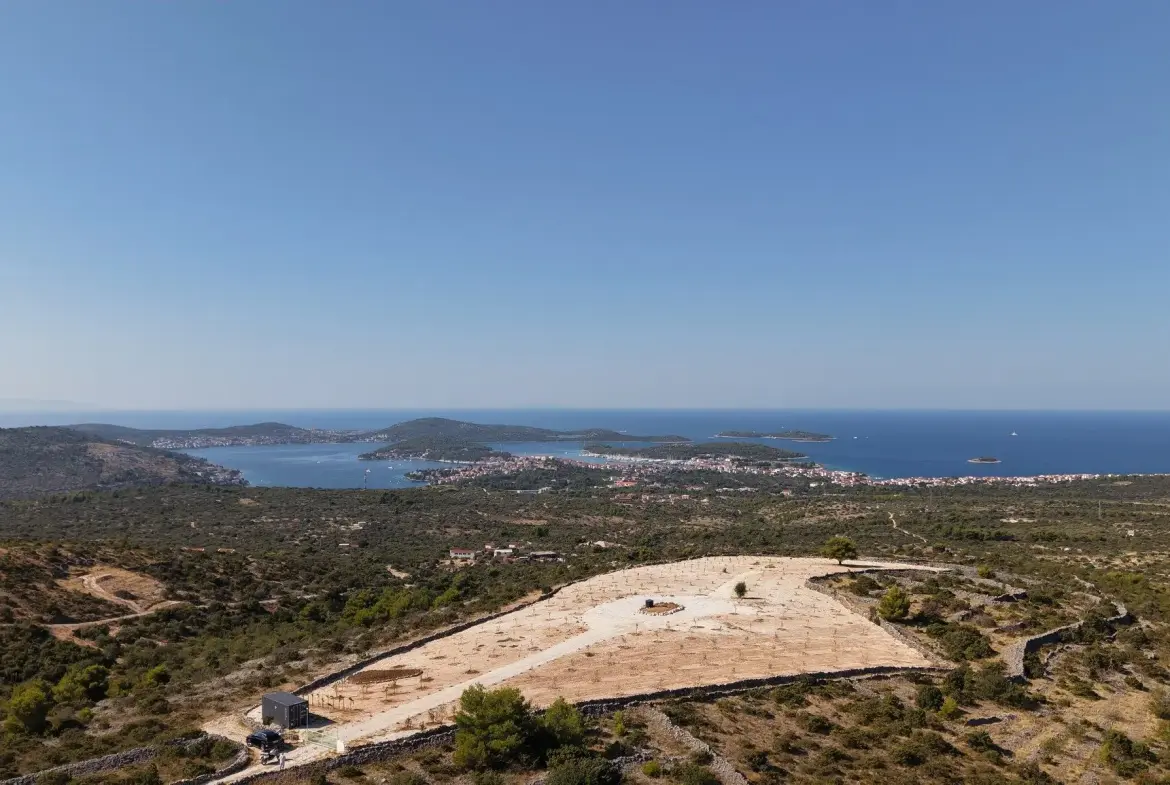 Olive grove with panoramic sea view