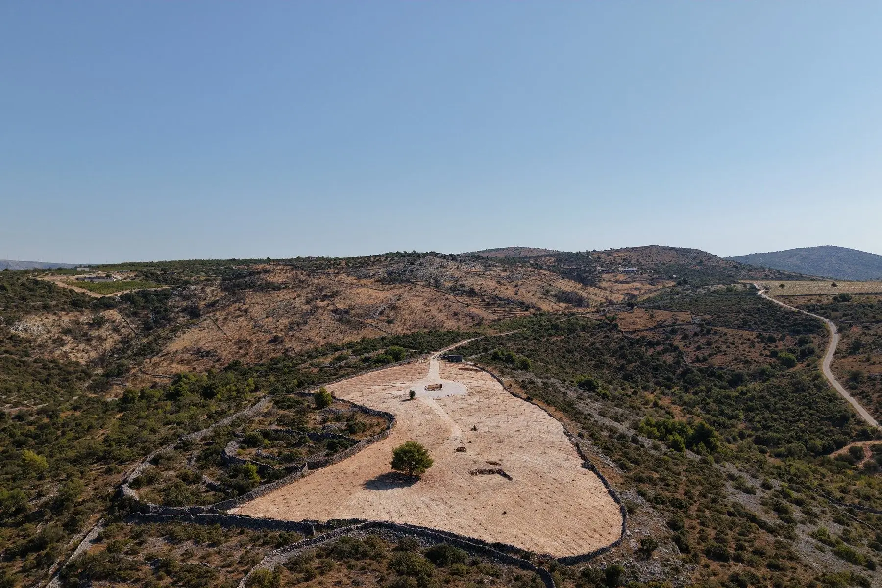 Olive grove with panoramic sea view
