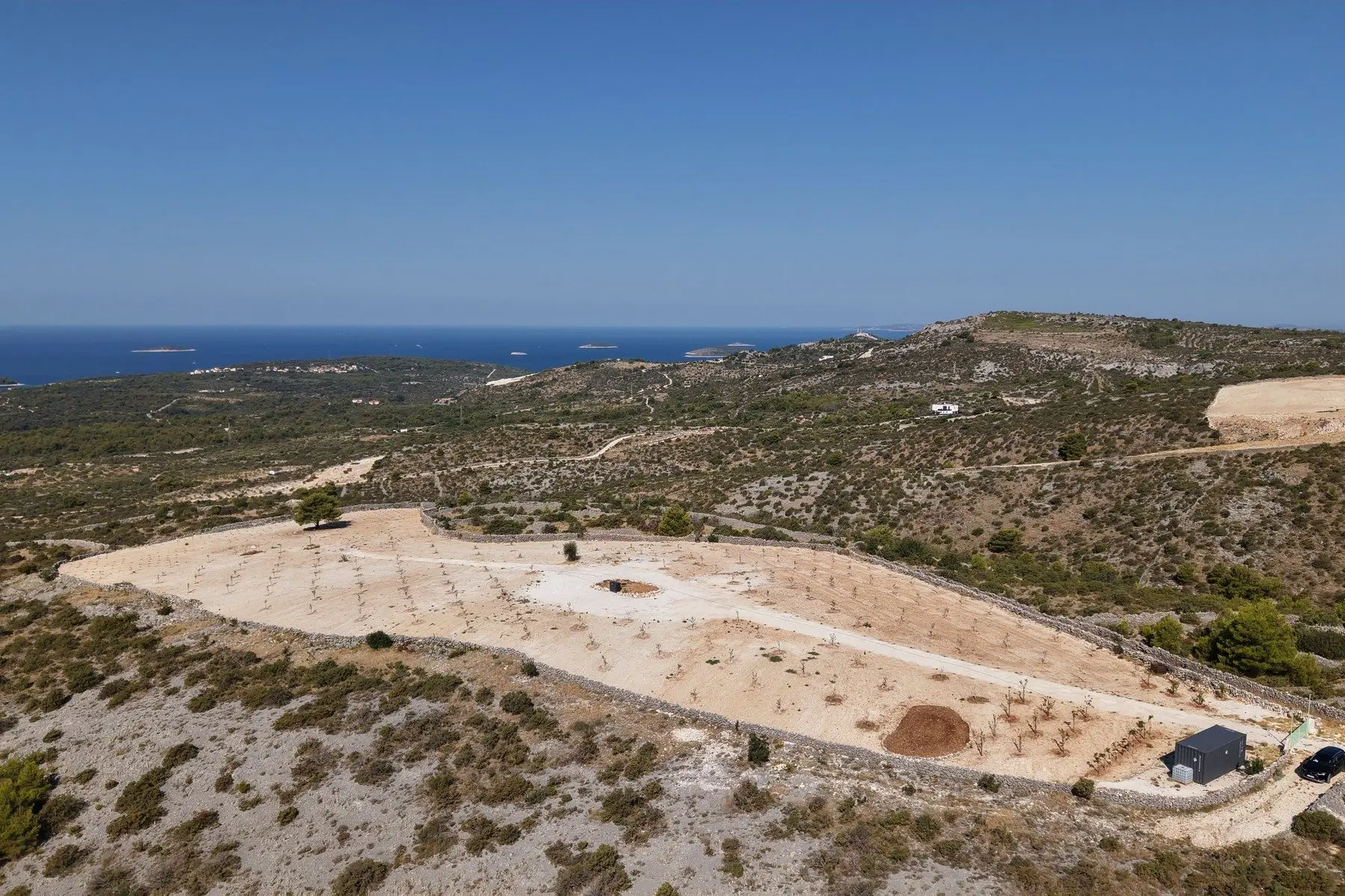 Olive grove with panoramic sea view