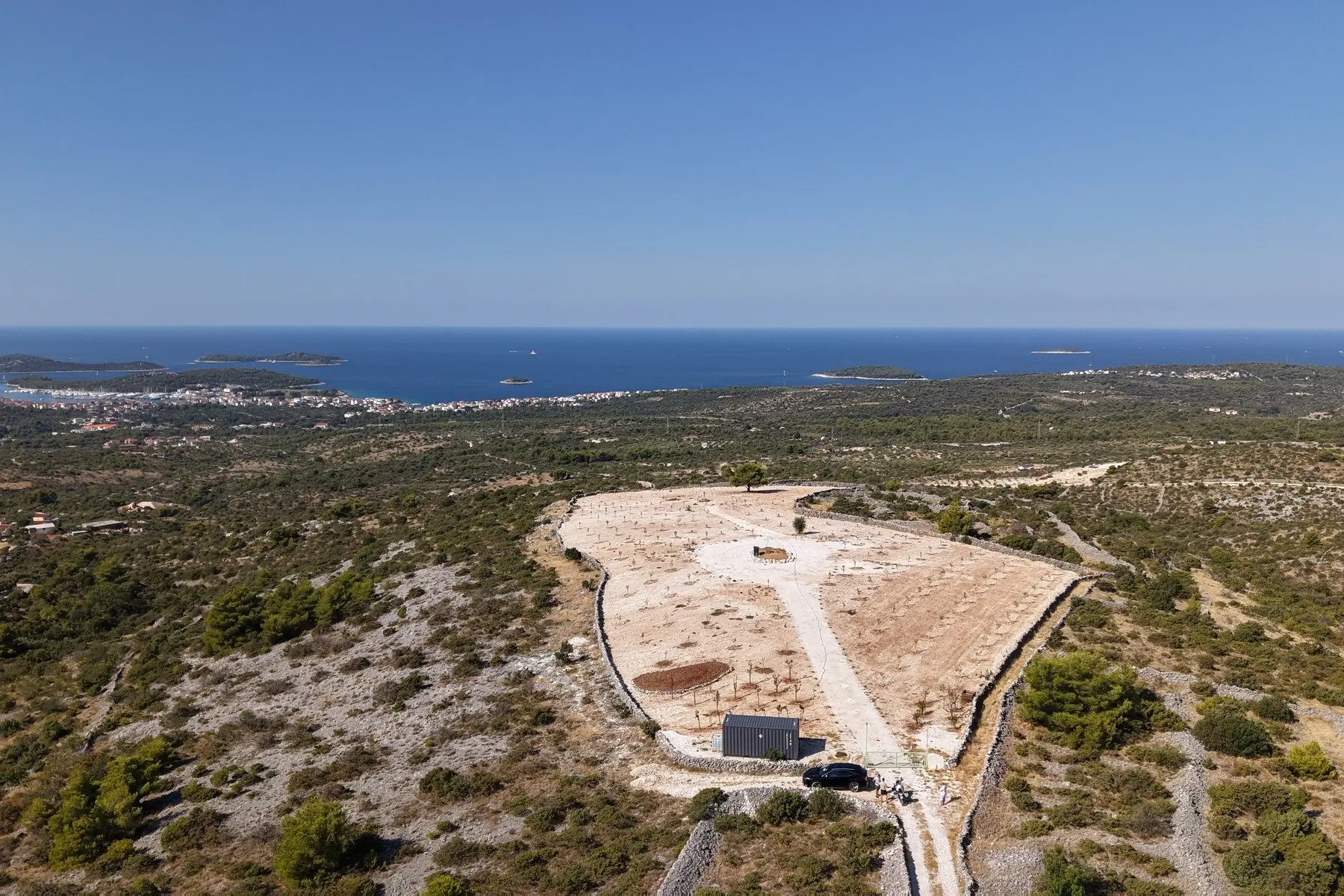 Olive grove with panoramic sea view