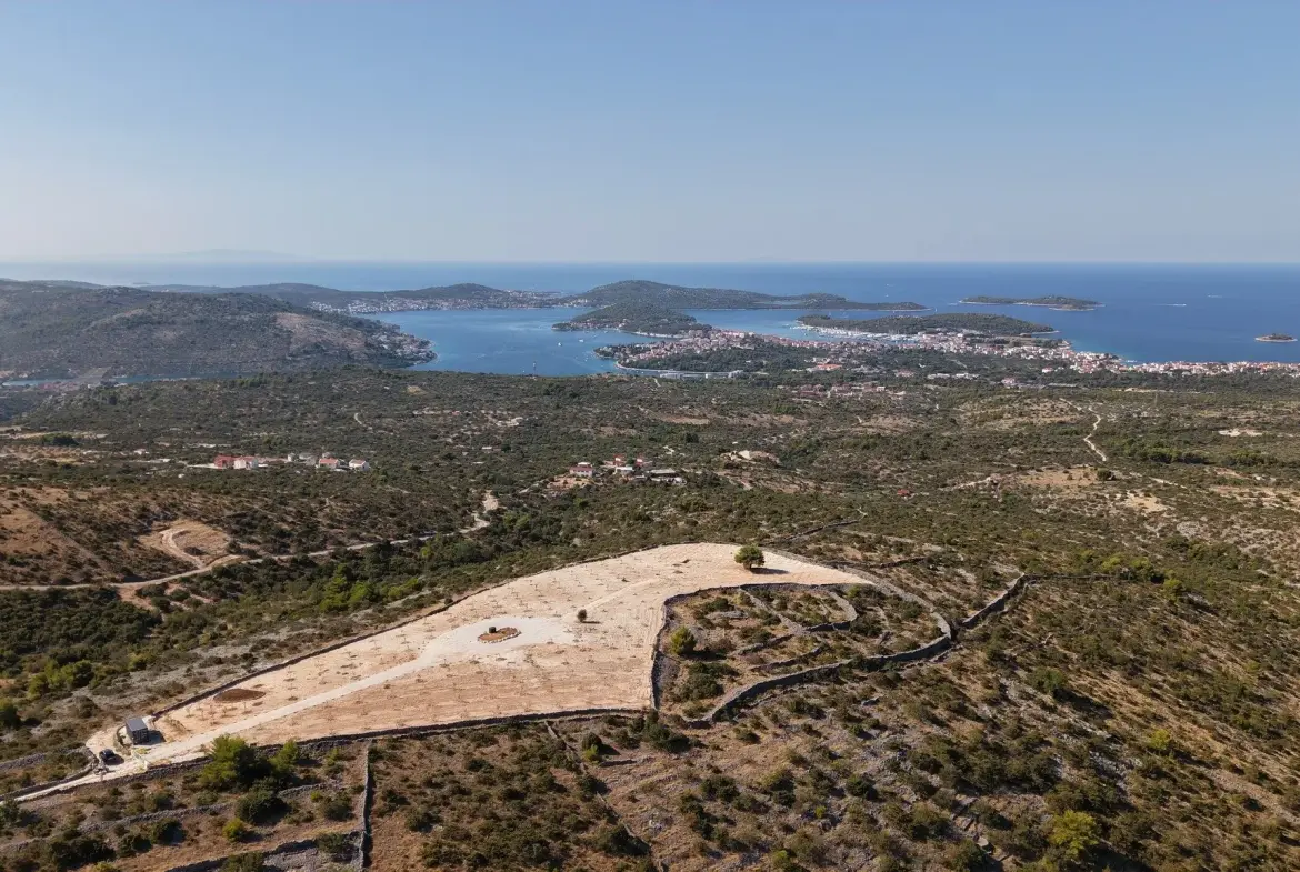 Olive grove with panoramic sea view