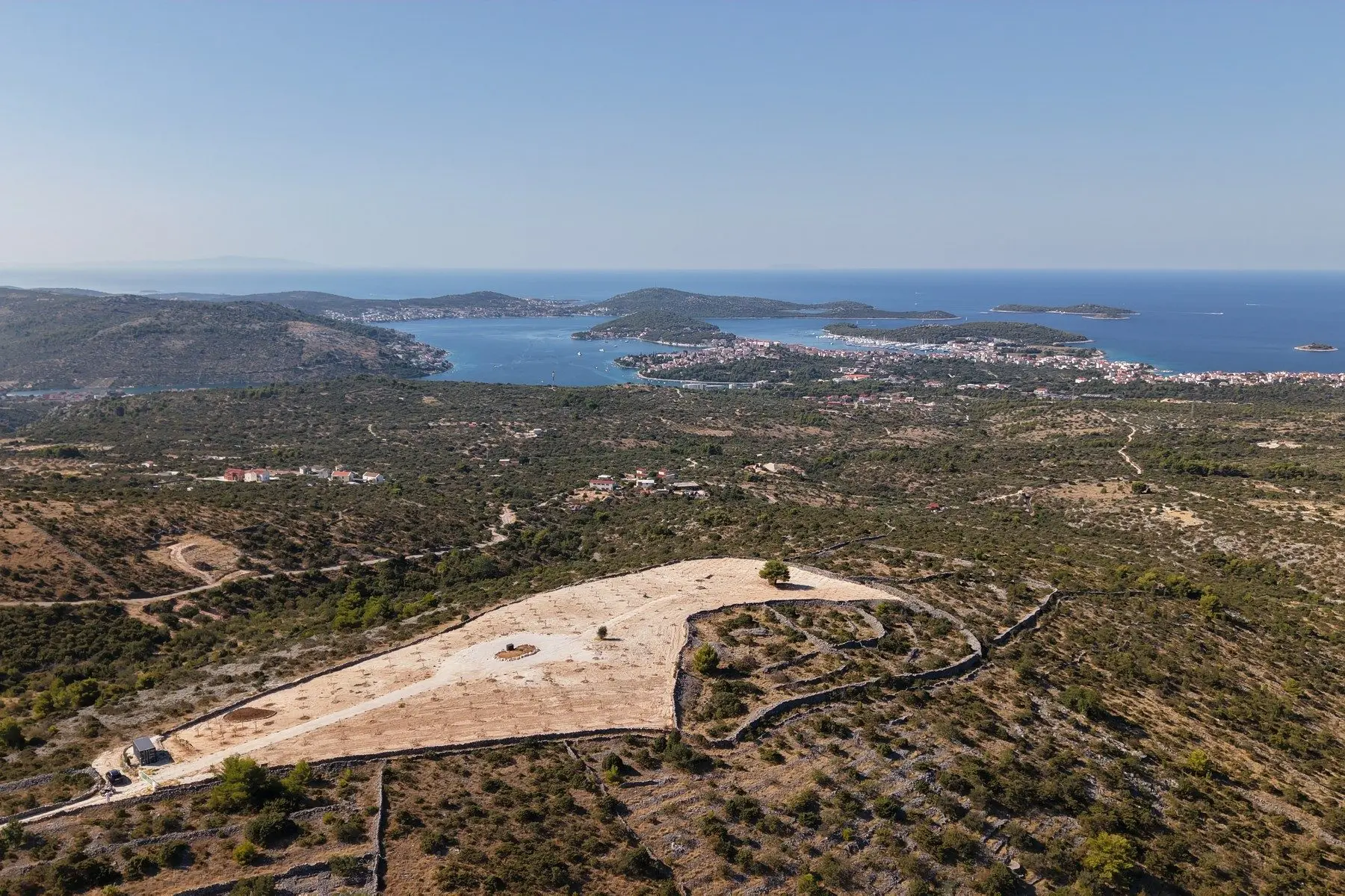 Olive grove with panoramic sea view