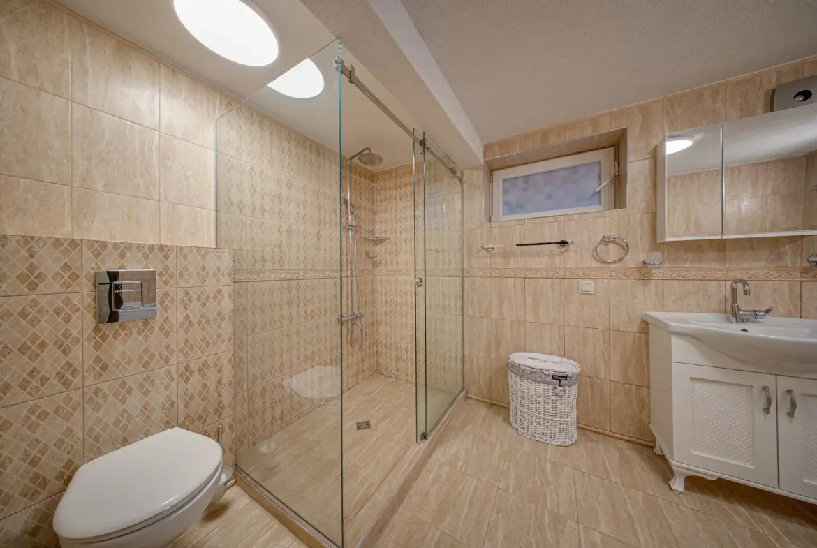 Fully renovated and partially furnished house in Oborishte for sale
