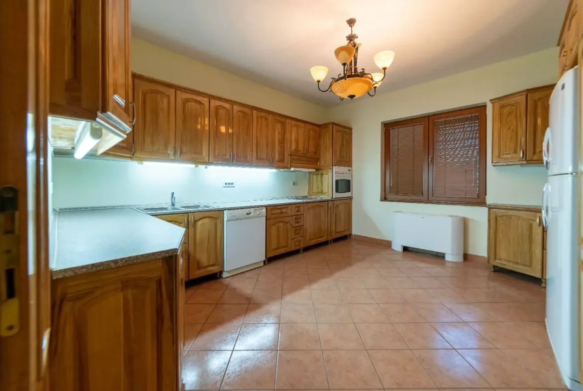 Family villa with a spacious property on the slopes of the Zeta river, Podgorica