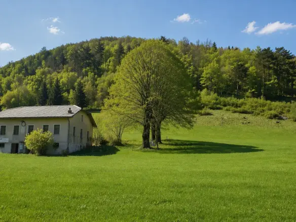 Nova Gorica area – Sweet cottage for renovation in Lokve