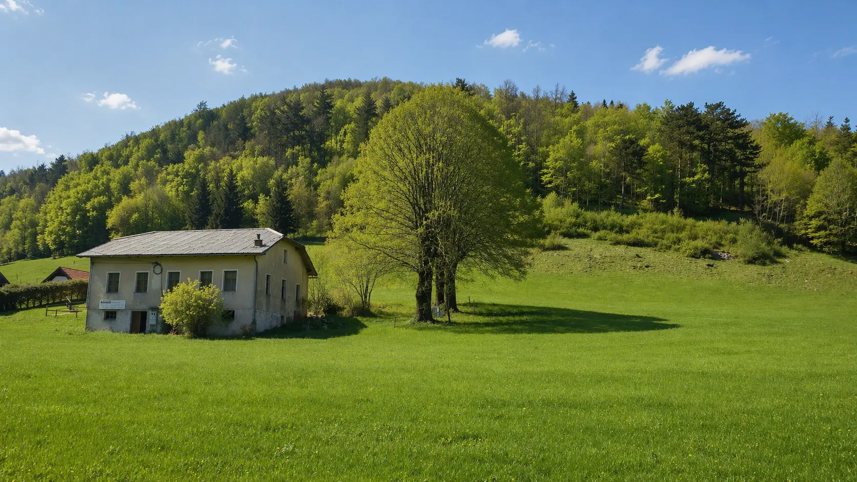 1-1-2 Nova Gorica area – Sweet cottage for renovation in Lokve