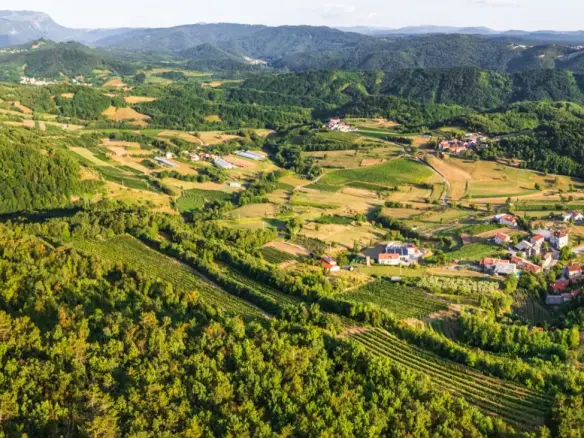 Vipava Valley – Exclusive Wine Estate Investment Opportunity