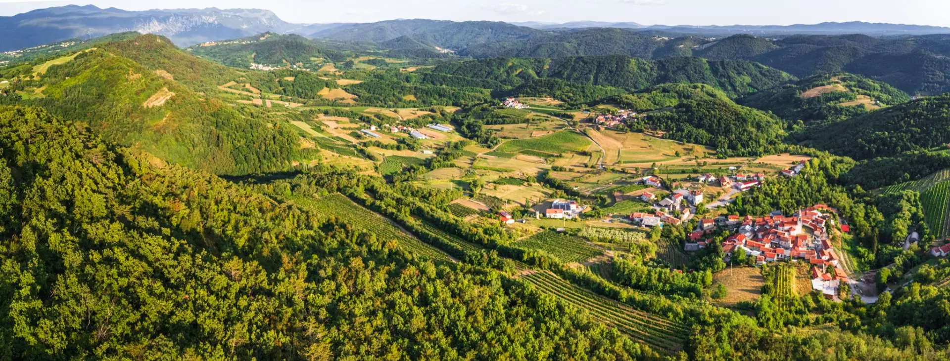 Vipava Valley – Exclusive Wine Estate Investment Opportunity