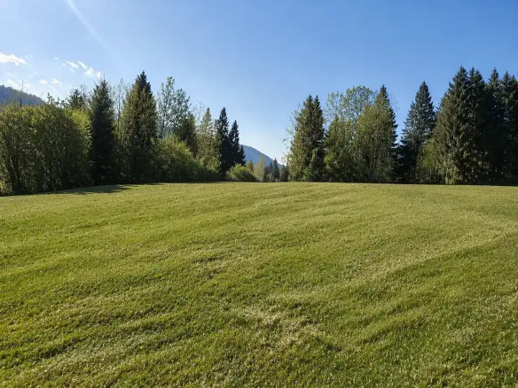 South Slovenia – Building Plot in Pristine Nature, Kočevje Area (Near Kostel)