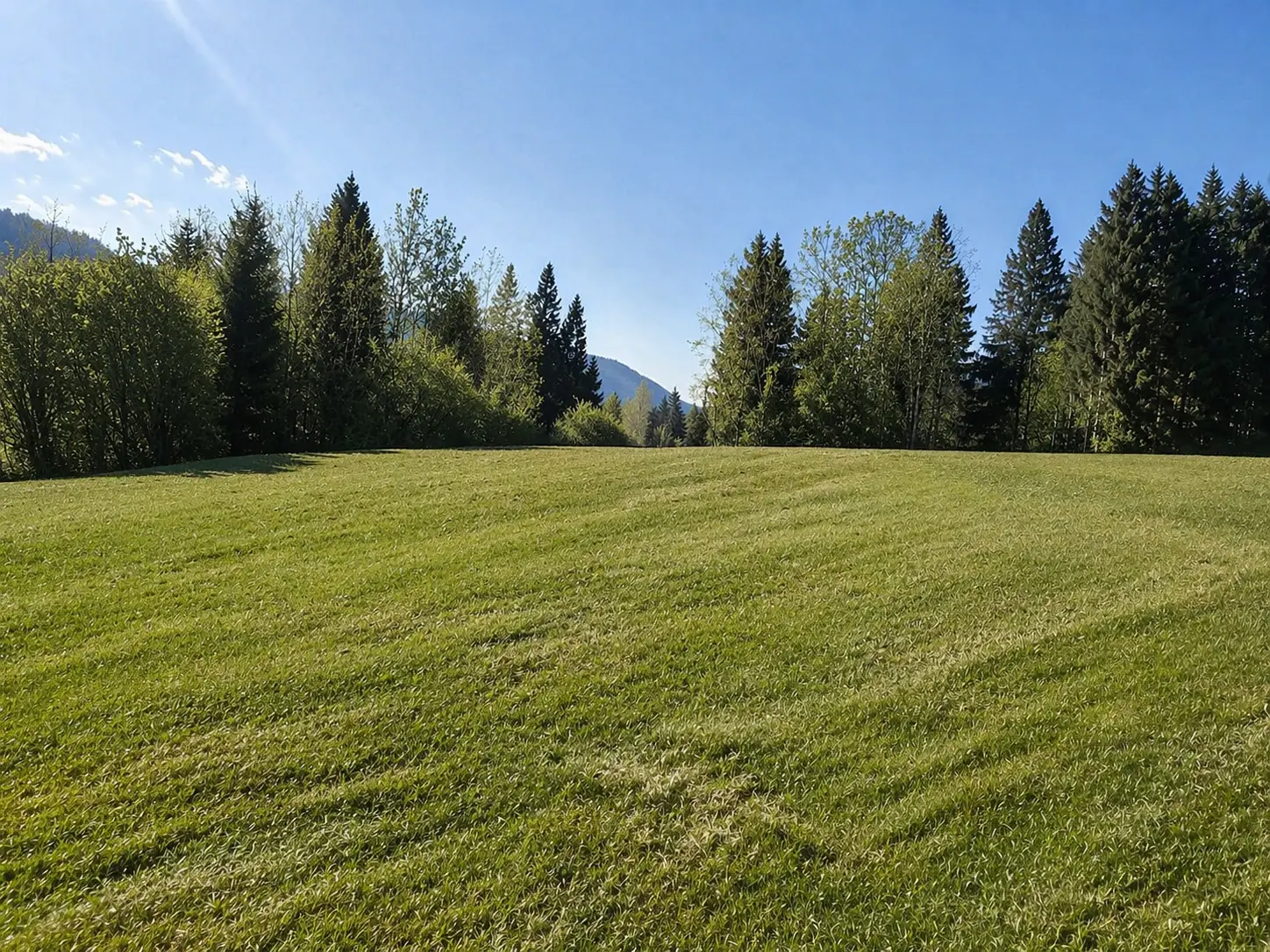 South Slovenia – Building Plot in Pristine Nature, Kočevje Area (Near Kostel)