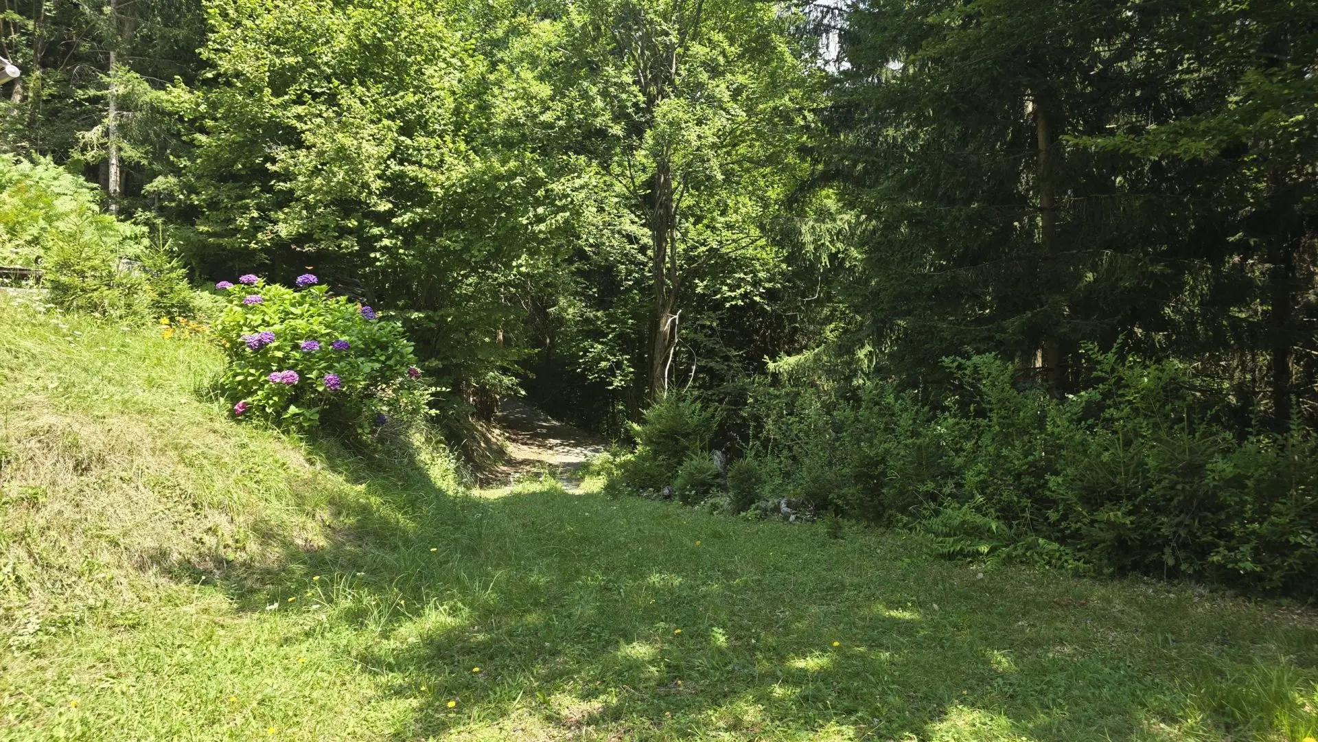 Cerkno and Železniki area – House in the forest with amazing Views