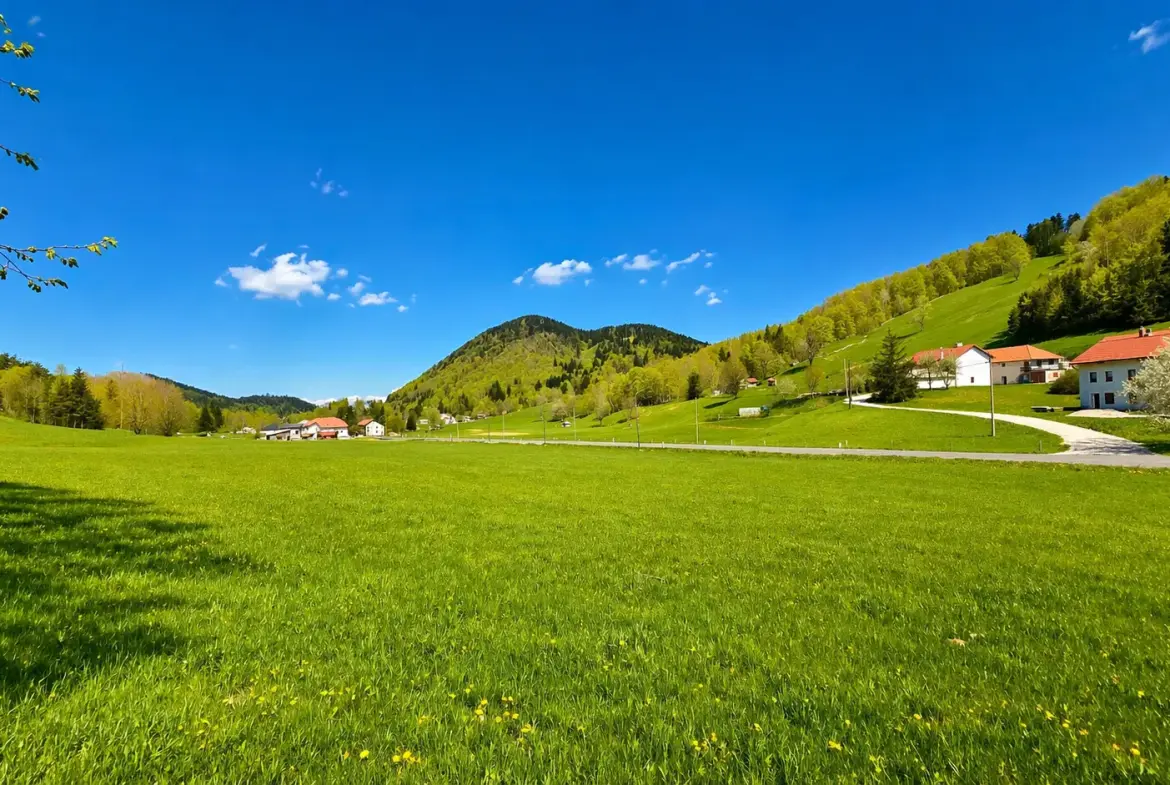 Nova Gorica area – Sweet cottage for renovation in Lokve