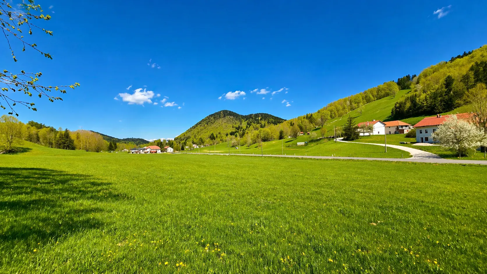 10-1-3 Nova Gorica area – Sweet cottage for renovation in Lokve