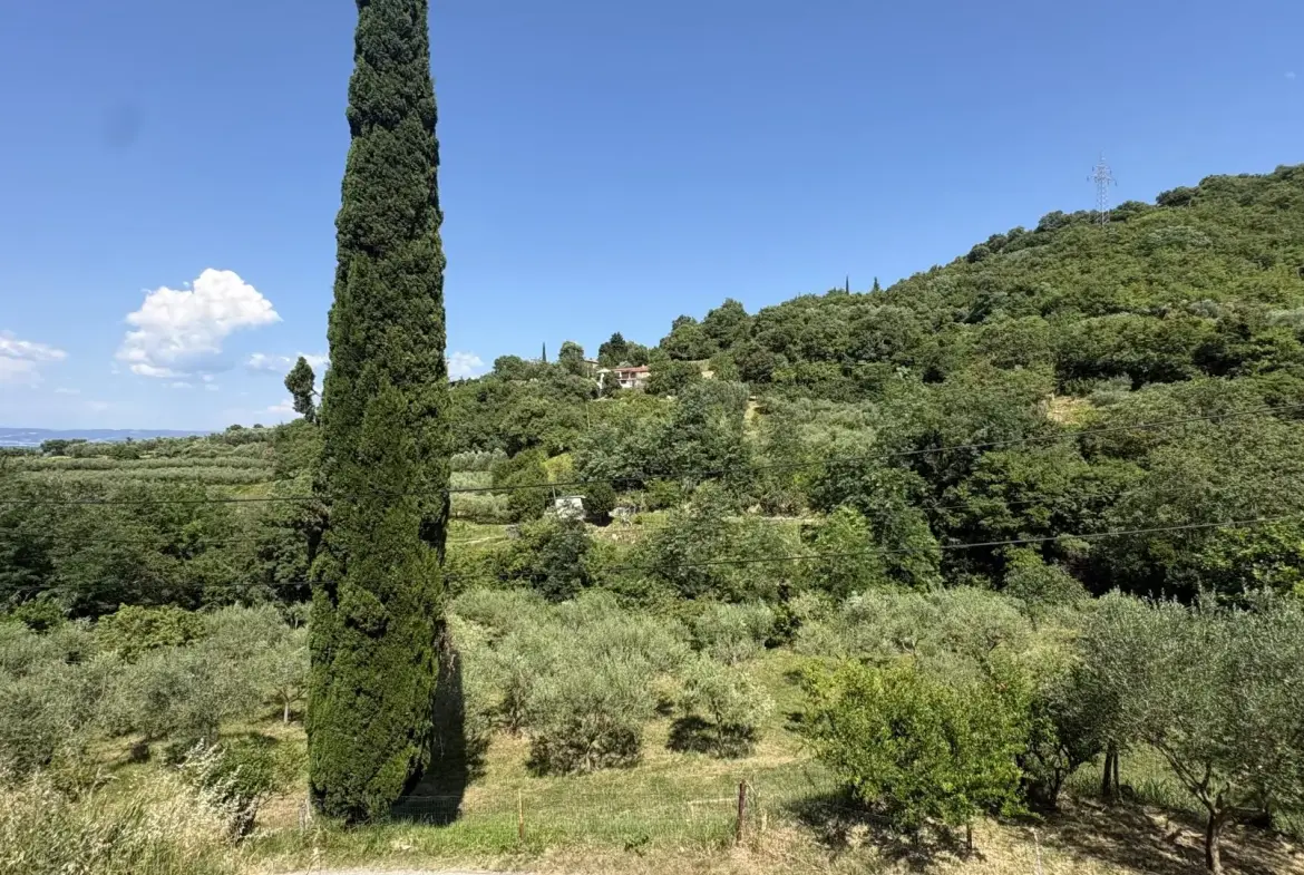 Coastal area – Charming Semi-Detached Homes with Sea Views in Izola