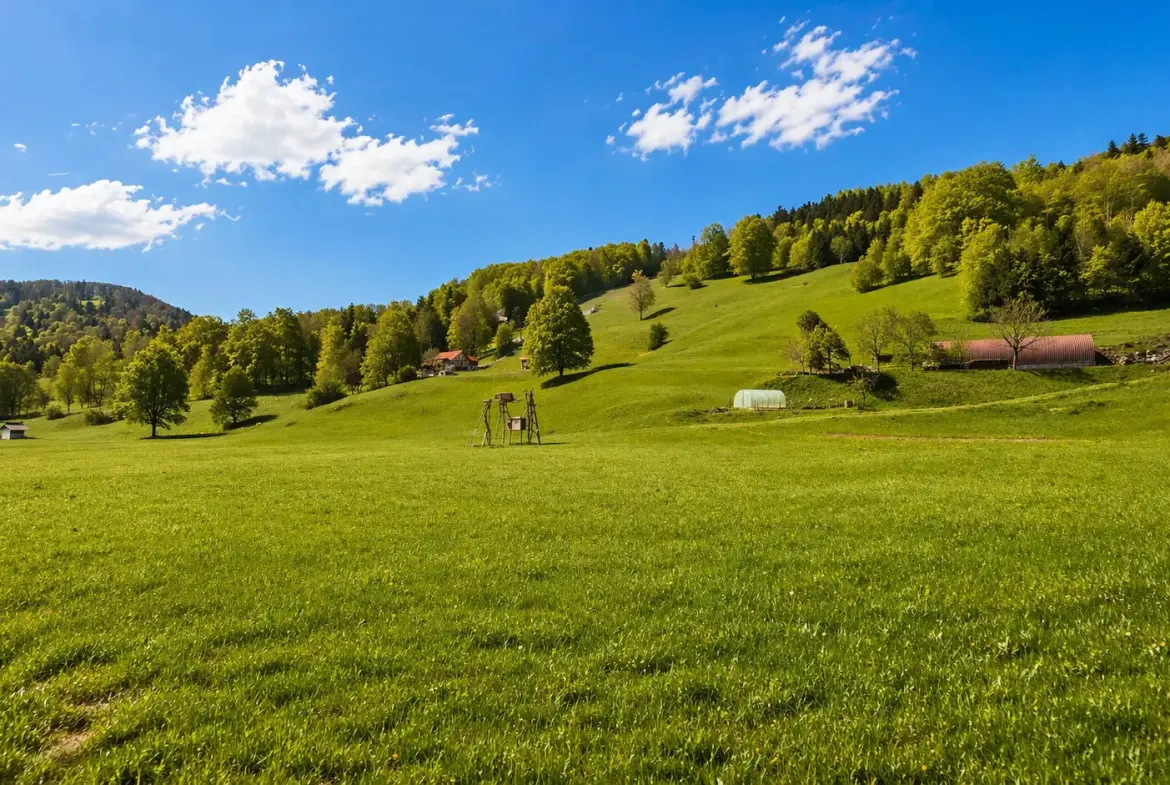 Nova Gorica area – Sweet cottage for renovation in Lokve