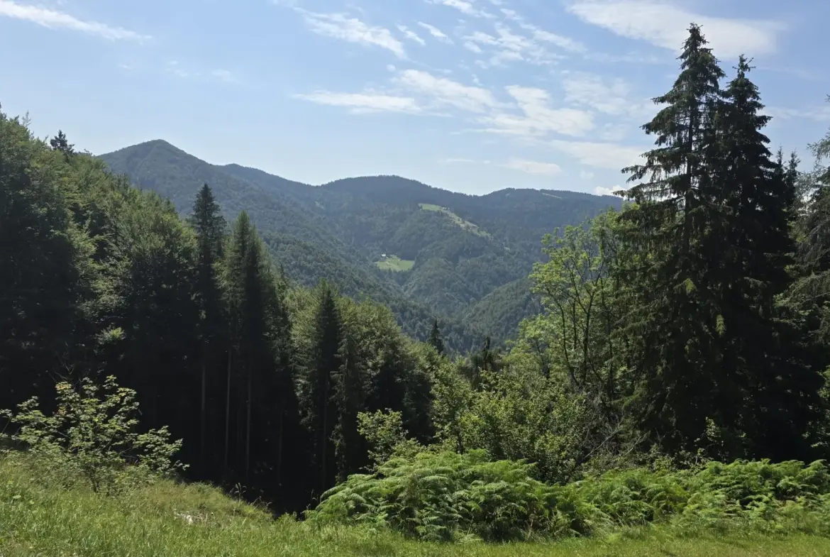 Cerkno and Železniki area – House in the forest with amazing Views