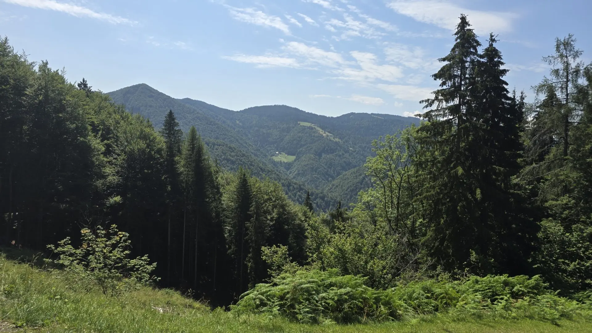 Cerkno and Železniki area – House in the forest with amazing Views