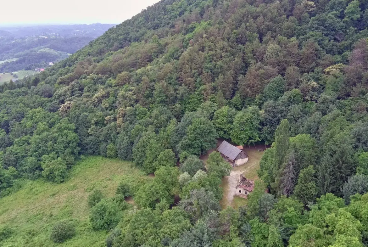 South Slovenia area – Building land and building permit for construction in Podgorje
