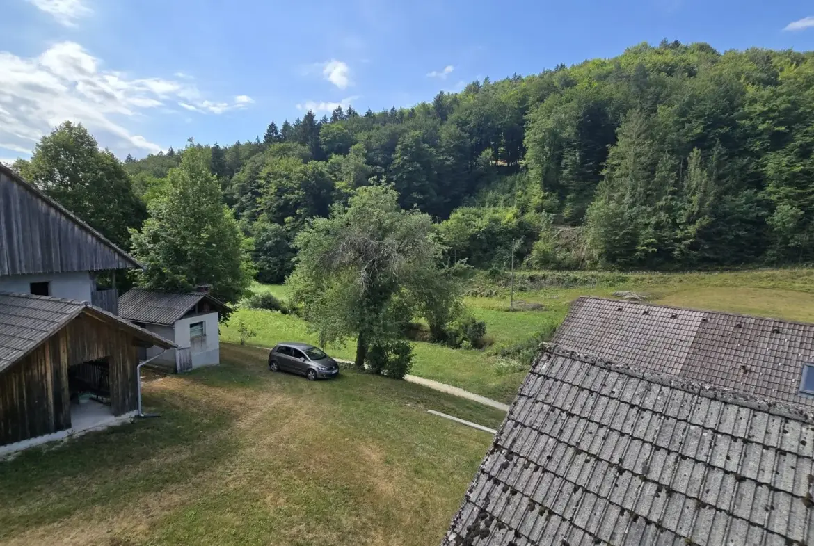 Ljubljana Area – Exceptional Country Estate with 5.5 Hectares