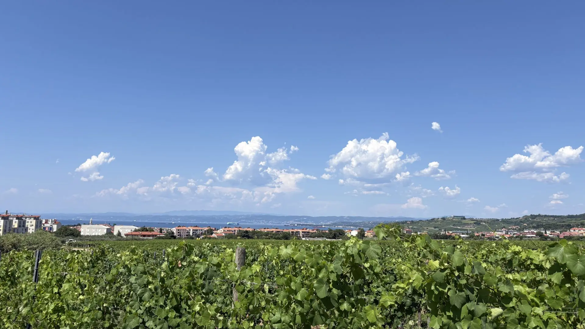 12-110 Coastal area – Charming Semi-Detached Homes with Sea Views in Izola