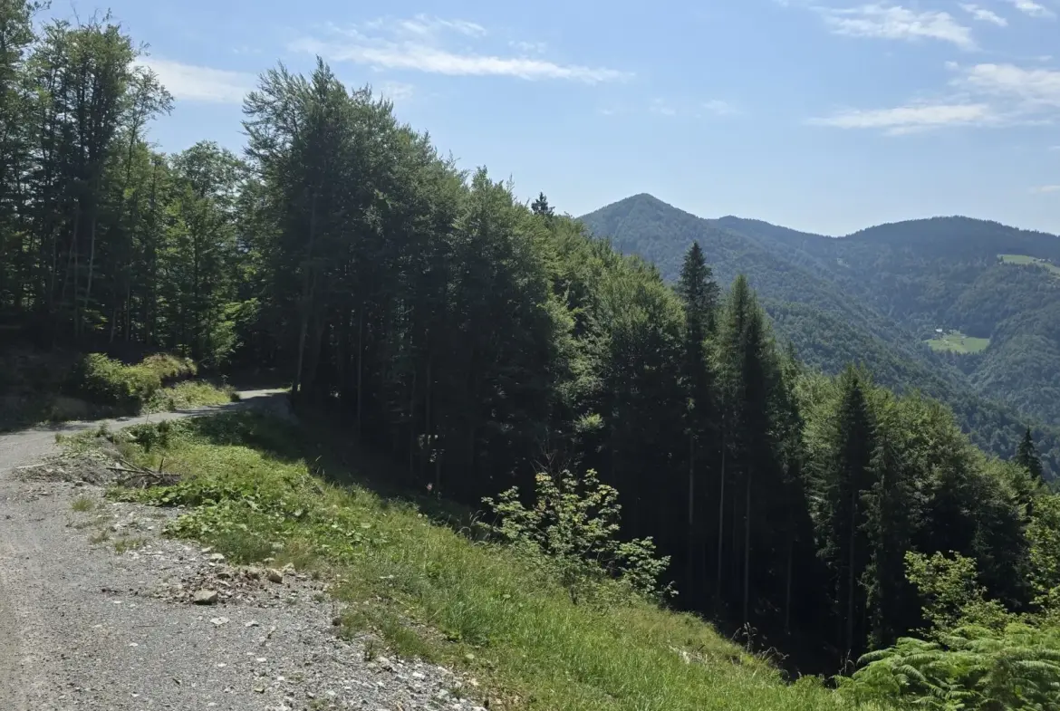 Cerkno and Železniki area – House in the forest with amazing Views