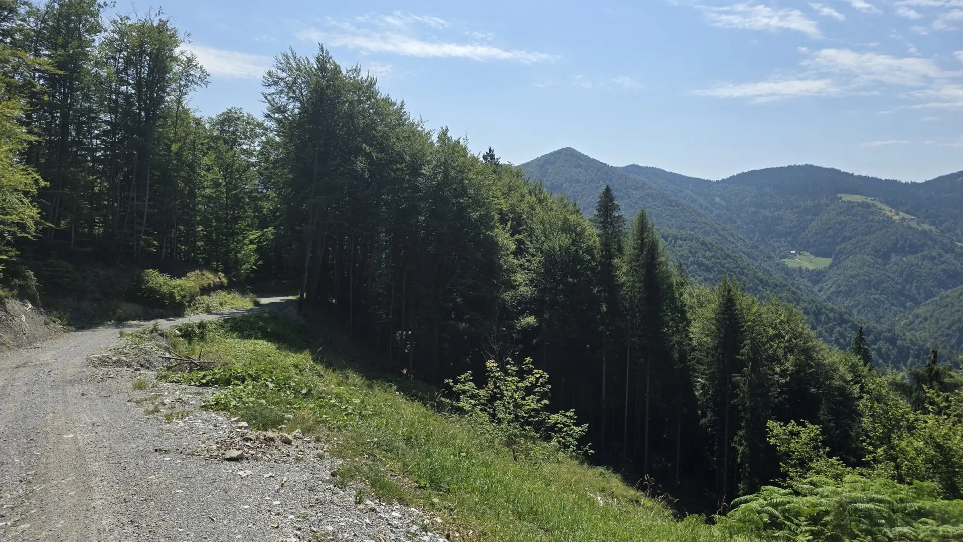 Cerkno and Železniki area – House in the forest with amazing Views
