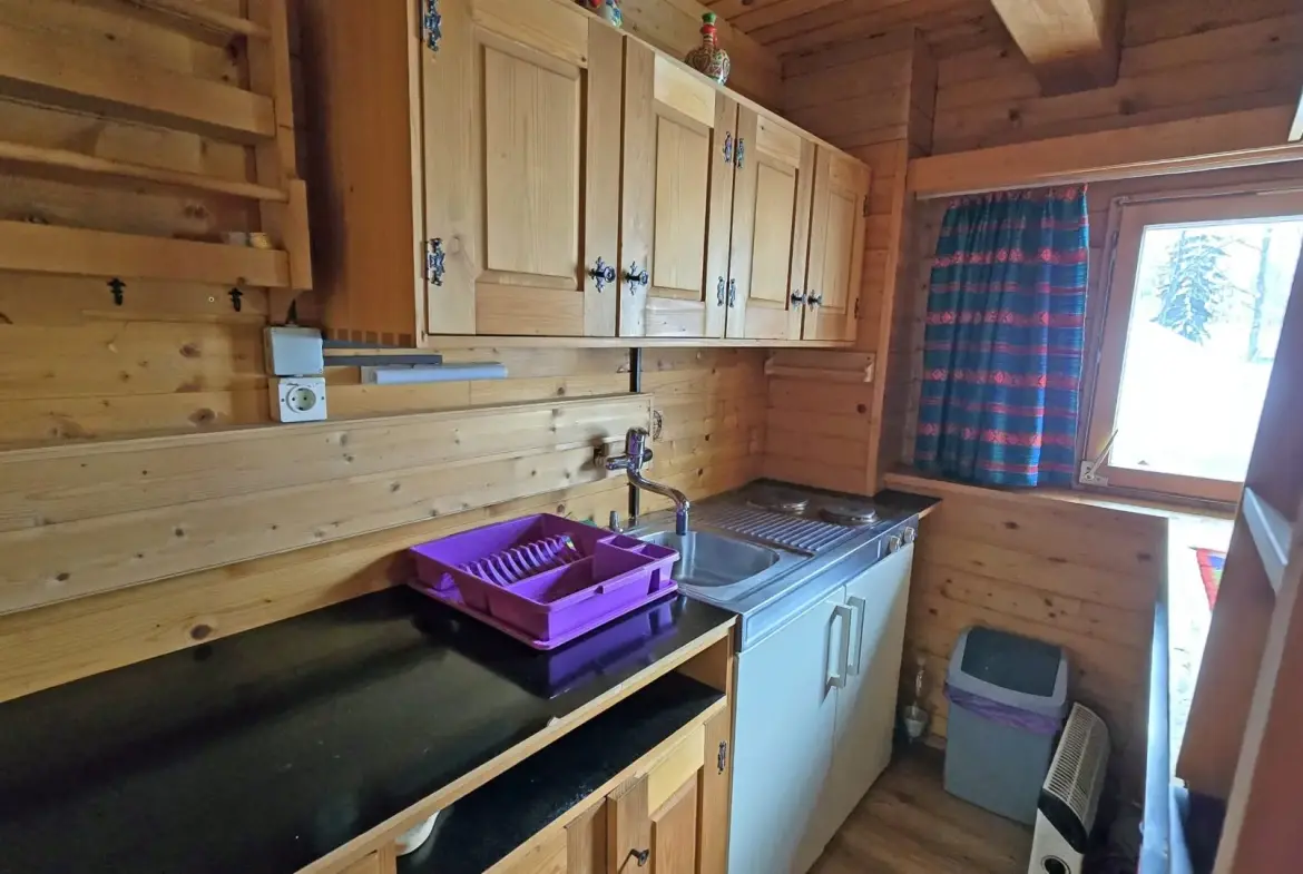 Bohinj area – Ski-In/Ski-Out Alpine Cottage in Vogel