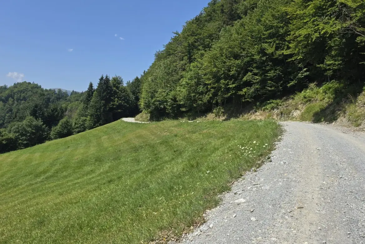 Cerkno and Železniki area – House in the forest with amazing Views