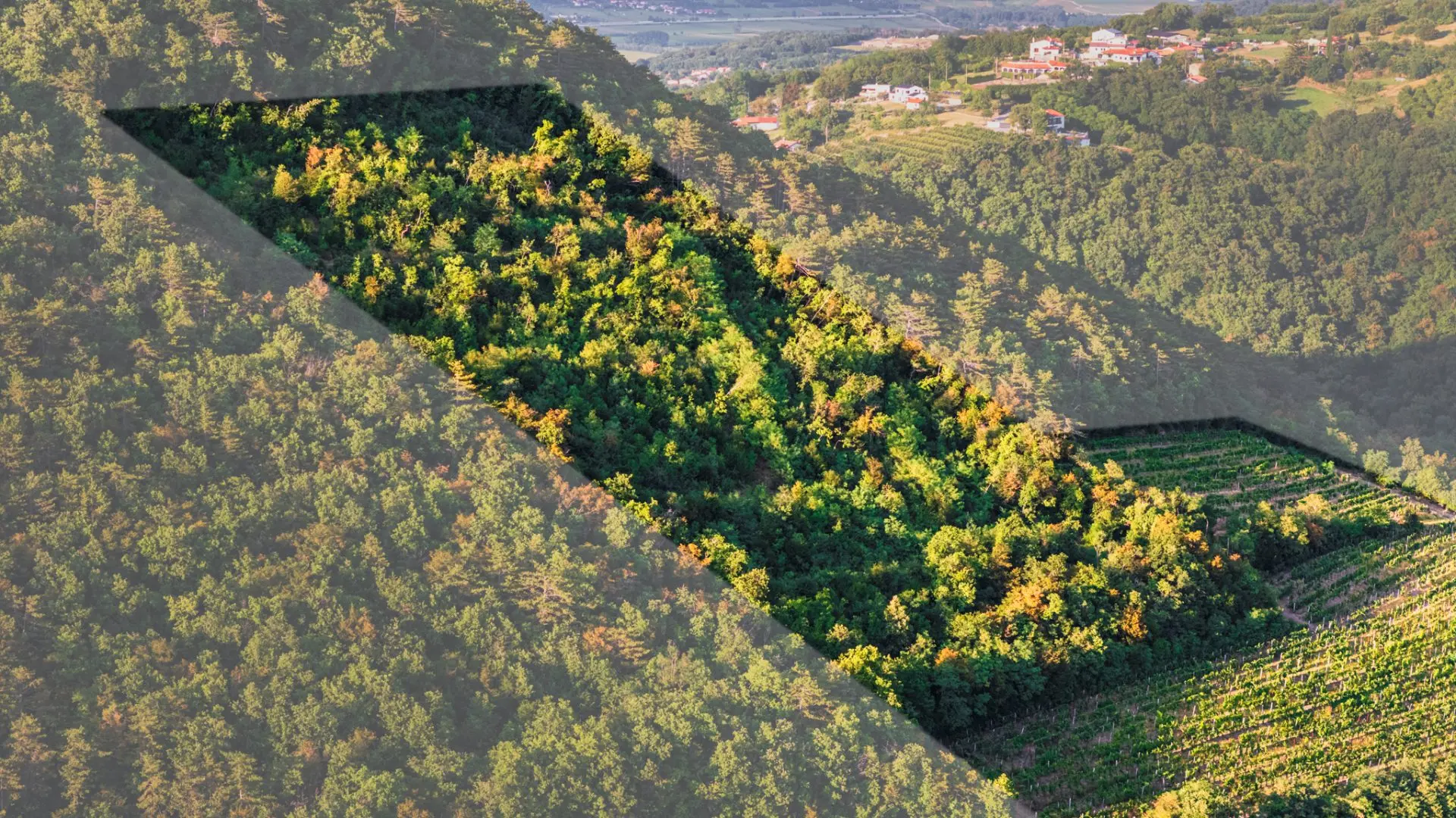Vipava Valley – Exclusive Wine Estate Investment Opportunity