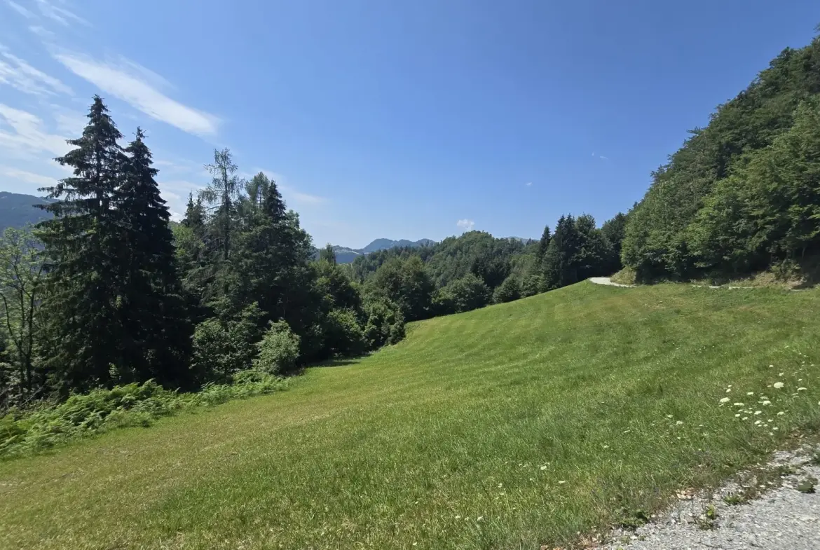 Cerkno and Železniki area – House in the forest with amazing Views