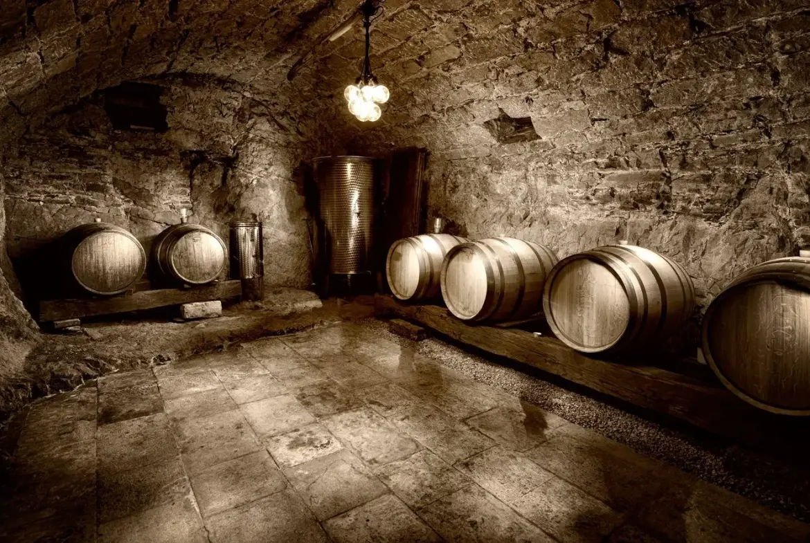 Karst – Exceptional Stone Estate with a Traditional Courtyard Surrounded by Nature