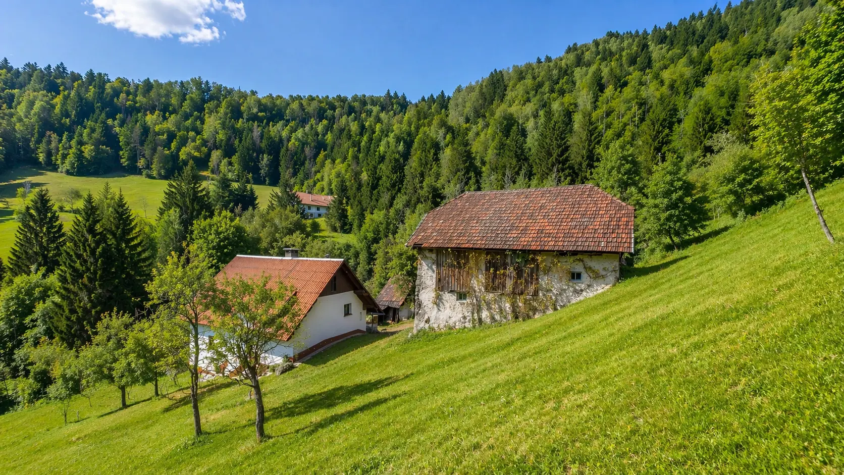 15-1-1 Idrija Area – Beautiful Estate Above Spodnja Idrija