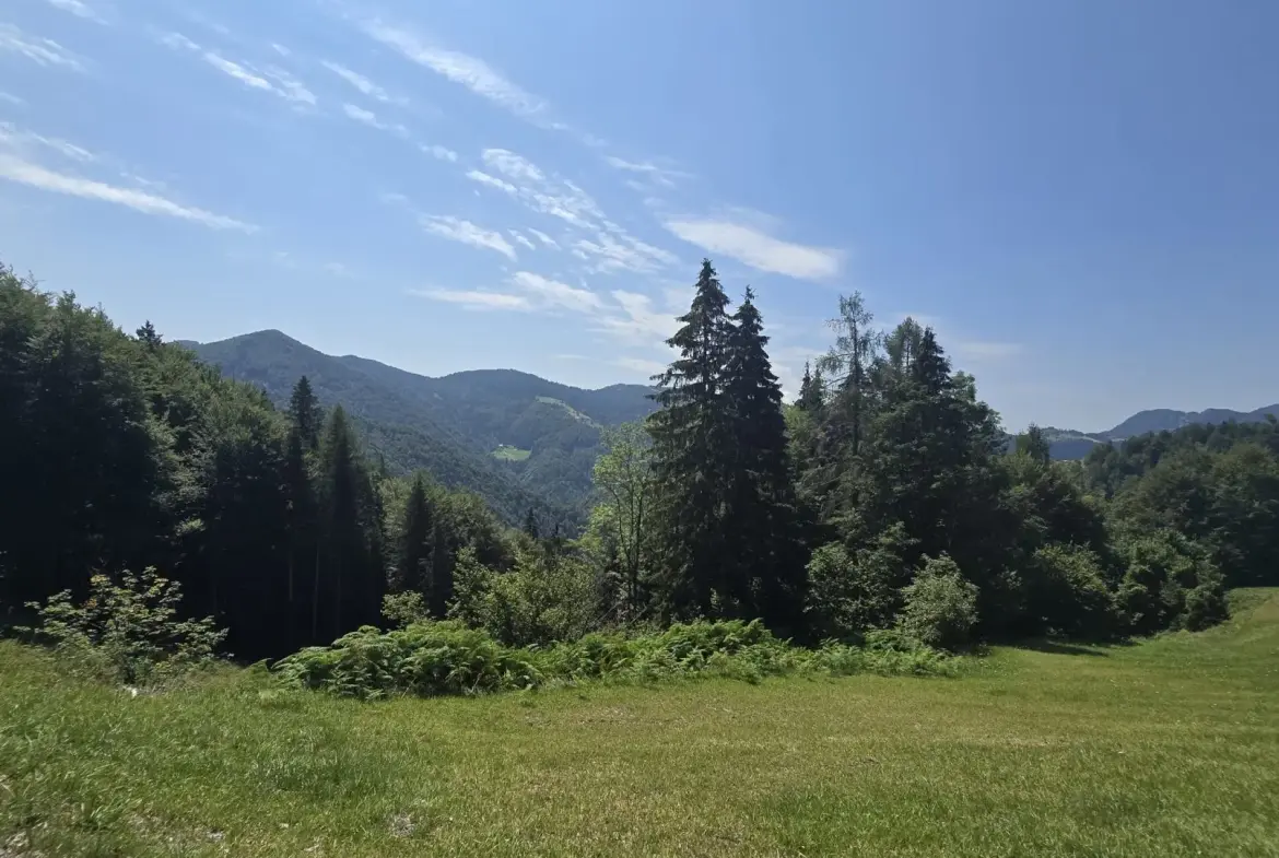 Cerkno and Železniki area – House in the forest with amazing Views