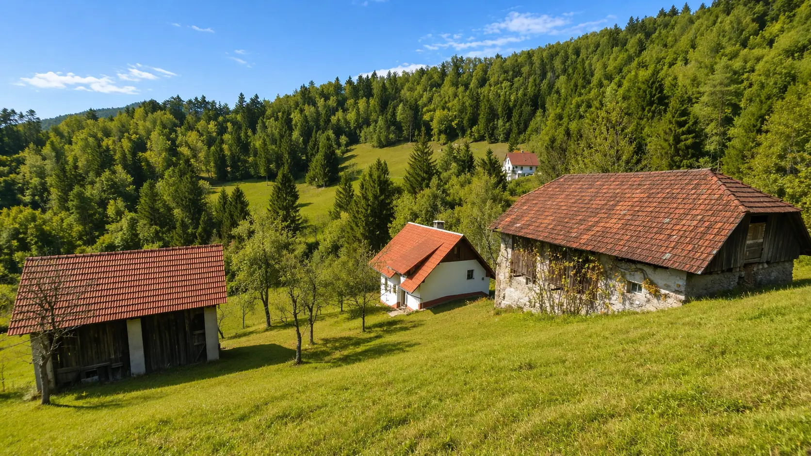16-1-2 Idrija Area – Beautiful Estate Above Spodnja Idrija