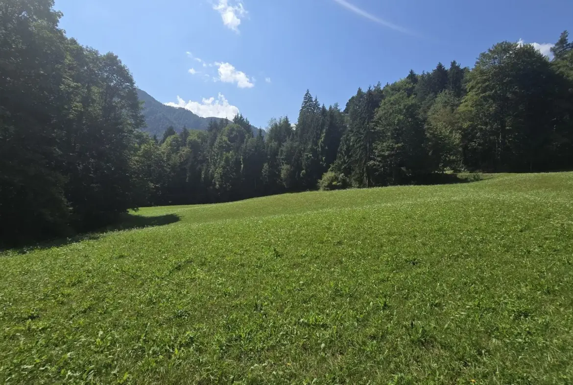 Soča area – House with Panoramic Views of the Surrounding Hills