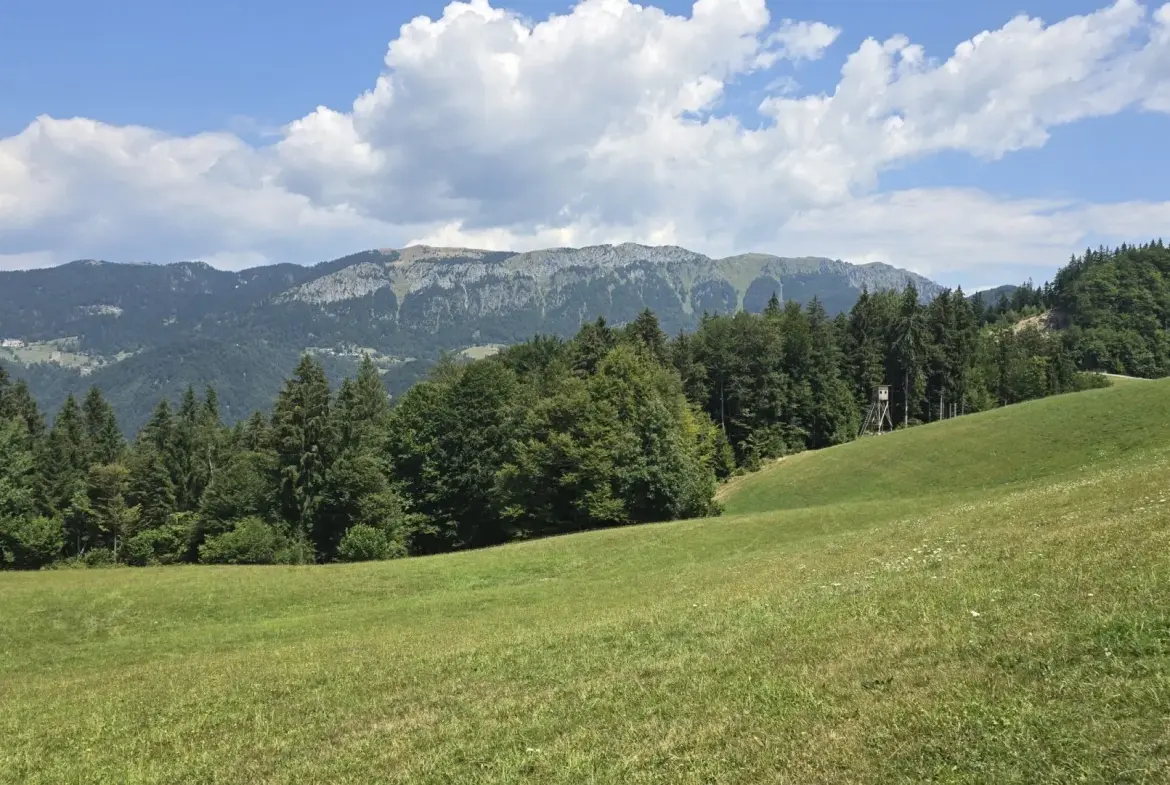 Cerkno and Železniki area – House in the forest with amazing Views
