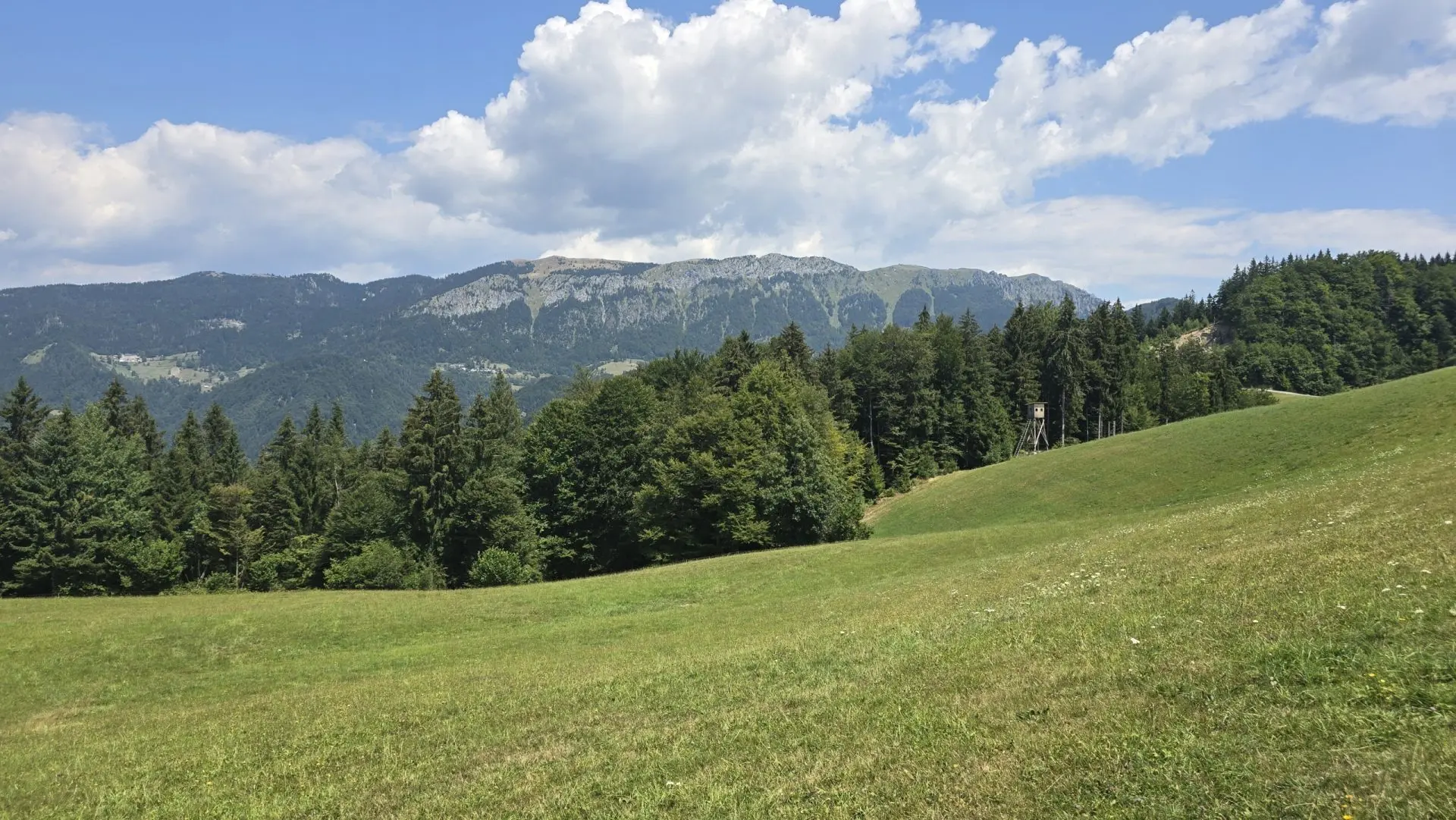 Cerkno and Železniki area – House in the forest with amazing Views