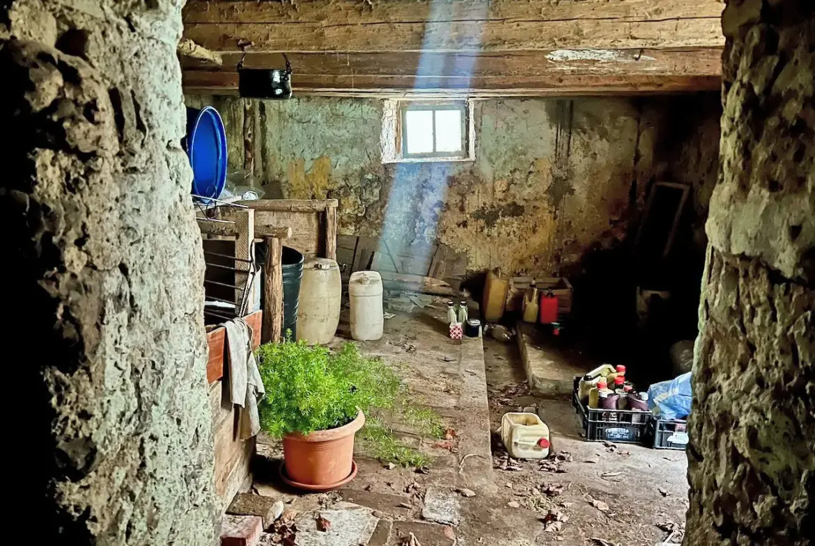 Soča area – Charming House in need of renovation in the Soča Valley