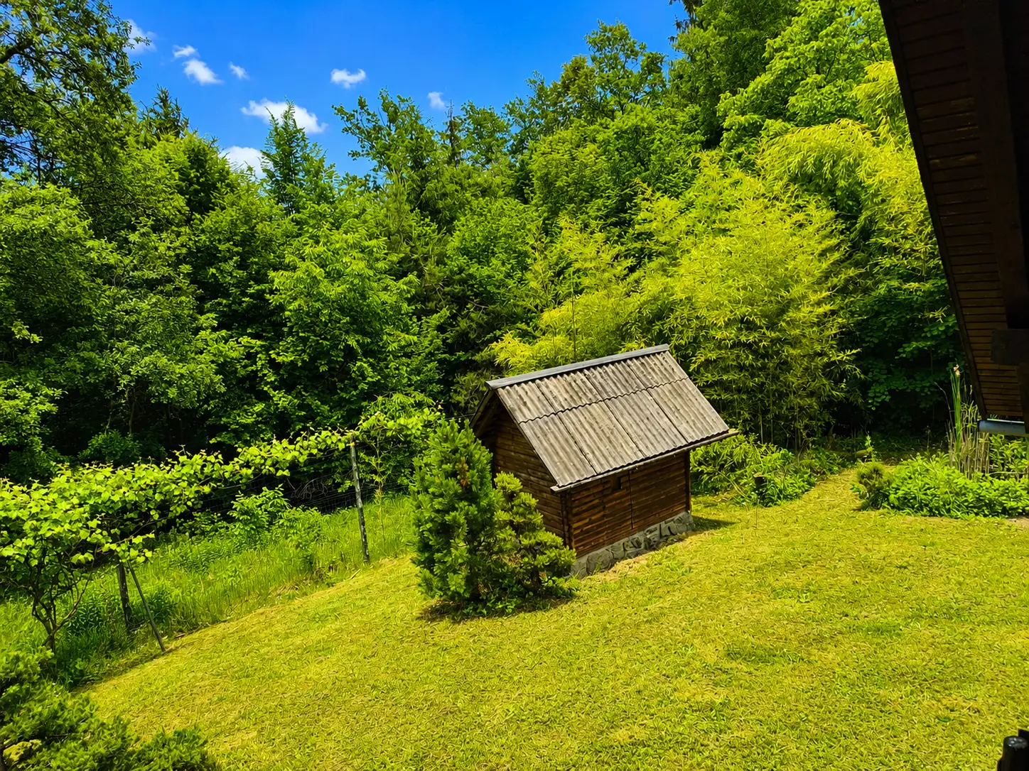 17-2 Bled area – Idyllic Detached Cottage in a Forest Clearing