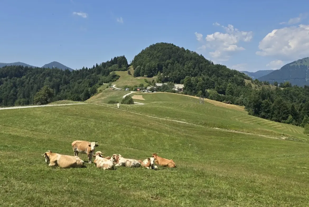 Cerkno and Železniki area – House in the forest with amazing Views
