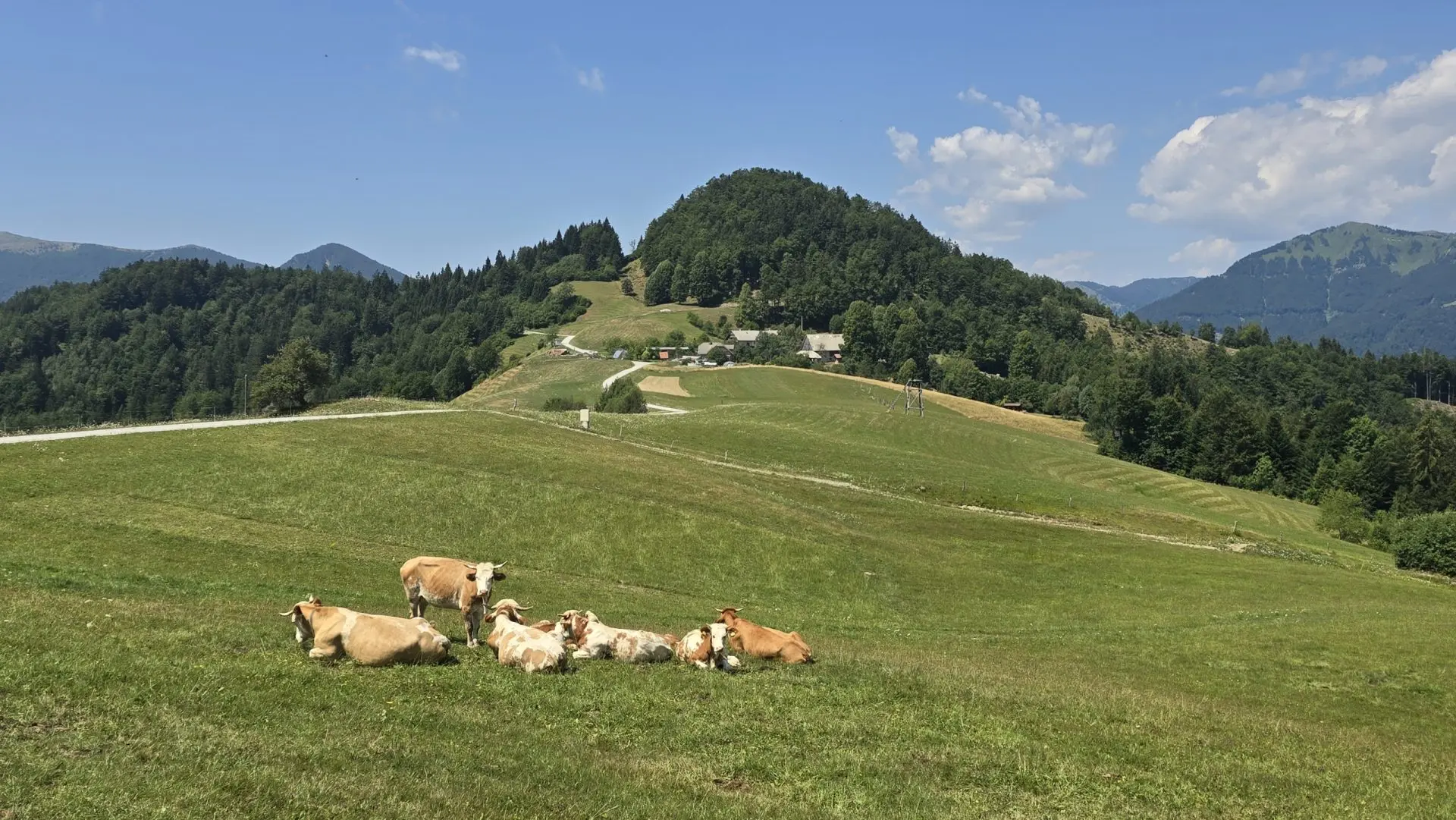 Cerkno and Železniki area – House in the forest with amazing Views
