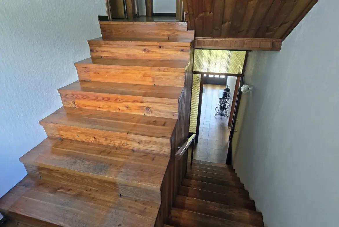 Soca Area – Kobarid, Spacious house with commercial space