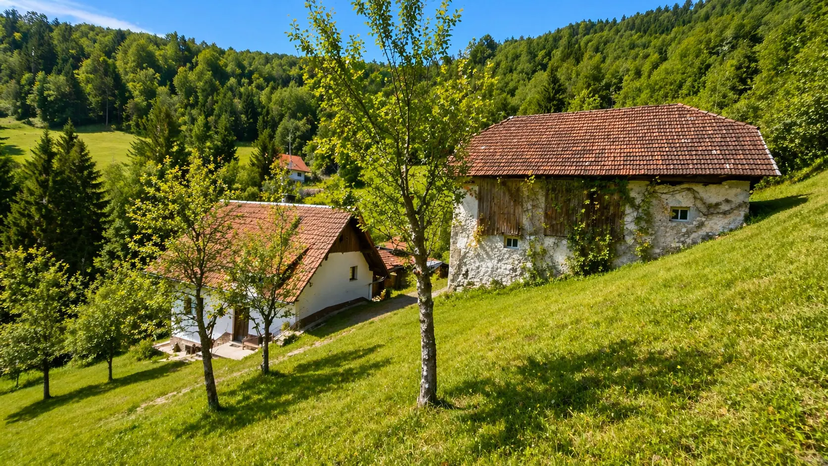18-1-1 Idrija Area – Beautiful Estate Above Spodnja Idrija