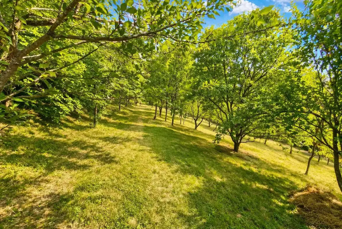 Vipava Valley – Semi-detached house above Vipava Valley