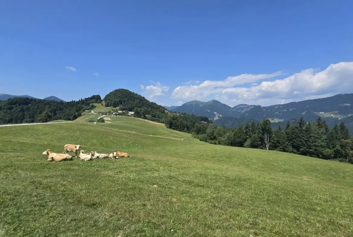 Cerkno and Železniki area – House in the forest with amazing Views