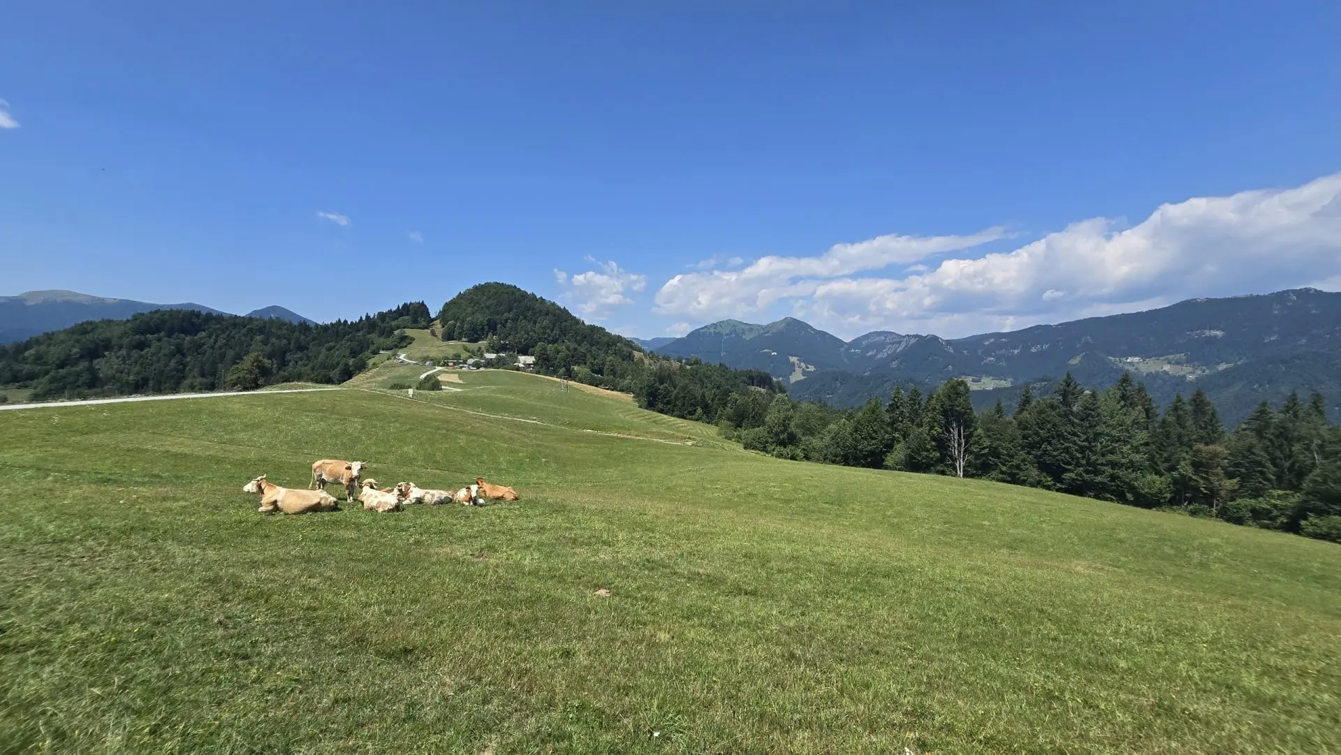 Cerkno and Železniki area – House in the forest with amazing Views