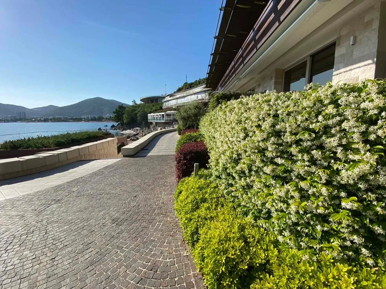 Apartment for Sale in Dukley Gardens, Budva – Waterfront Complex
