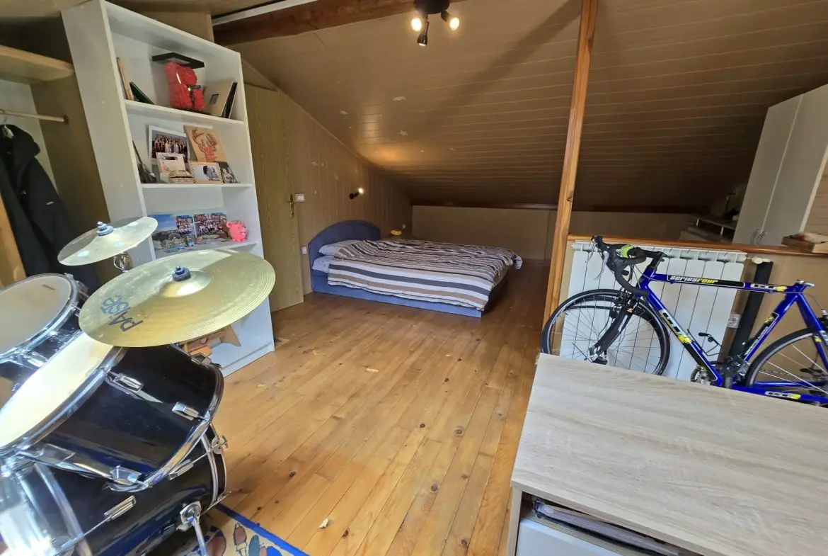 Soca Area – Kobarid, Spacious house with commercial space